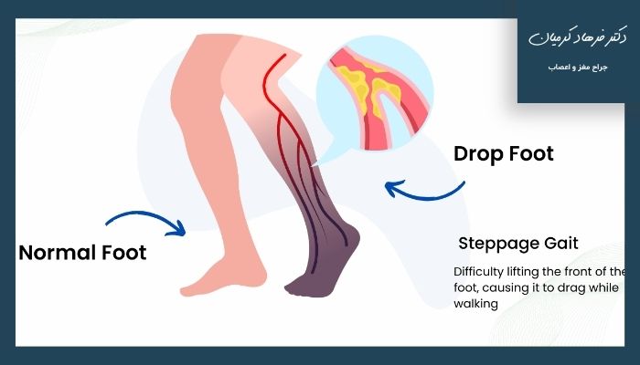 علائم و نشانهها علائم و نشانهها