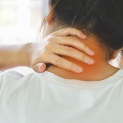 دیسک و ستون فقرات